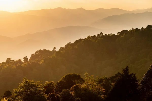 Hegyi Trópusi Erdő Borítja Köd Naplementekor Belül Inthanont Nemzeti Park — Stock Fotó