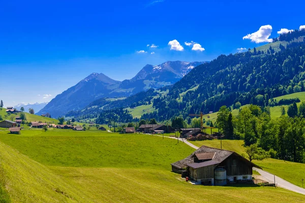 Huizen Groene Weiden Darstetten Frutigen Niedersimmental Bern Zwitserland — Stockfoto
