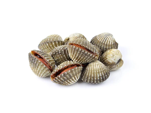 Vongole Fresche Cibo Molluschi Sfondo Bianco — Foto Stock