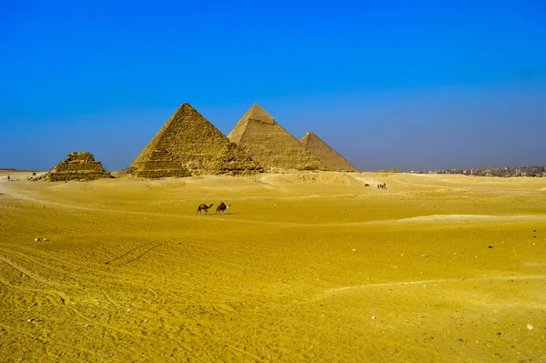 Великая Пирамида Гизы Египте Каир Сфинксом Верблюдом Пустыне Много Солнца — стоковое фото