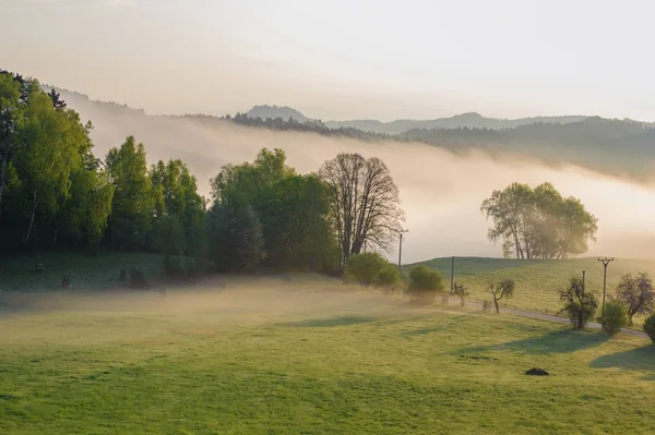 Autumn Landscape Hills Forests Sunny Morning Mist — Stock Photo, Image