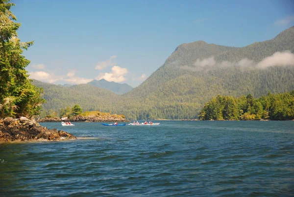 Kajaking Vancouver Islands Shore Line — Stock Photo, Image