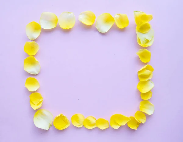 Moldura Flor Com Pétalas Rosa Fundo Rosa Pastel Flat Lay — Fotografia de Stock