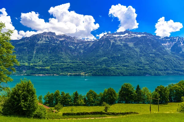Przejrzyste Lazurowe Jezioro Brienz Oberried Brienzersee Interlaken Oberhasli Berno Szwajcaria — Zdjęcie stockowe