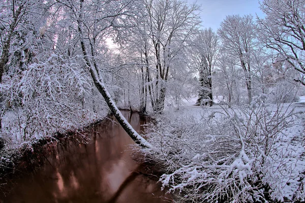 Зимний Вечер Парке Реки Первый Белый Снег Покрывающий Деревья Кусты — стоковое фото