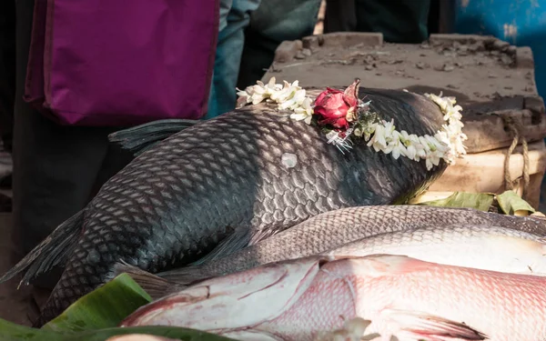 Nalban Food Park Kolkata Jan 2019 축제에서 꽃으로 물고기 마리가 — 스톡 사진