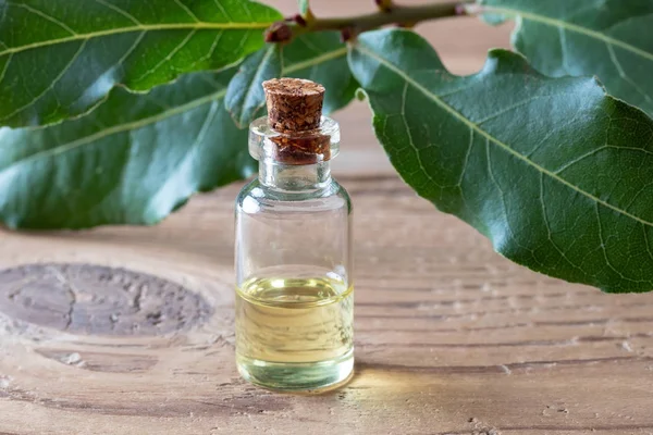 Bottle Essential Oil Fresh Bay Leaves Table — Stock Photo, Image