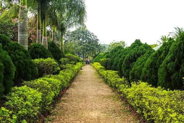 Camino Parque Árboles Diseño Ambos Lados — Foto de Stock