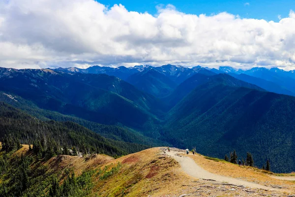 Piękny Widok Łańcuch Górski Olimpijski Park Narodowy Waszyngton Usa — Zdjęcie stockowe