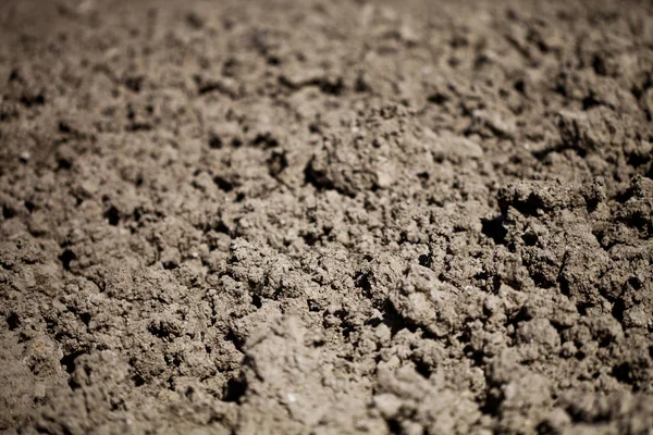 Tekstur Latar Belakang Kotoran Tanah Yang Disiapkan Untuk Budidaya — Stok Foto