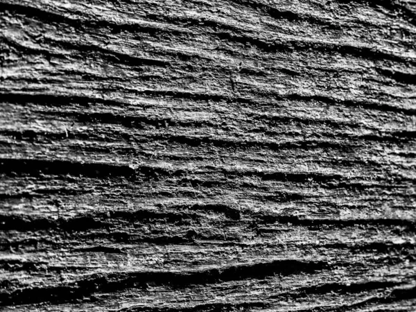 Kırık Ağaç Gövdesi Kabuğu Dokusu Siyah Beyaz Essex Ngiltere Görüntüsü — Stok fotoğraf
