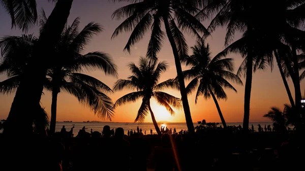 Sunset landscape. beach sunset. palm trees silhouette on sunset tropical beach, China