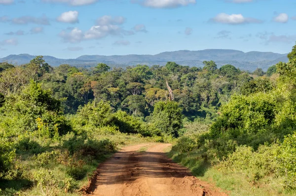 Kilátás Erdõre Aberdare Park Hegyeire Kenya Központjában — Stock Fotó