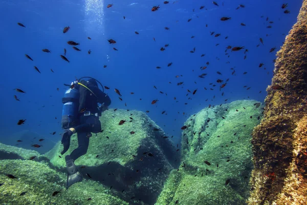 Persona Immergersi Vicino Fondale Roccioso Che Coperto Piccole Alghe Verdi — Foto Stock