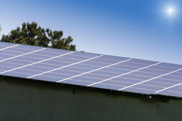 太陽光パネル 太陽光発電 代替電源 持続可能な資源の概念 — ストック写真