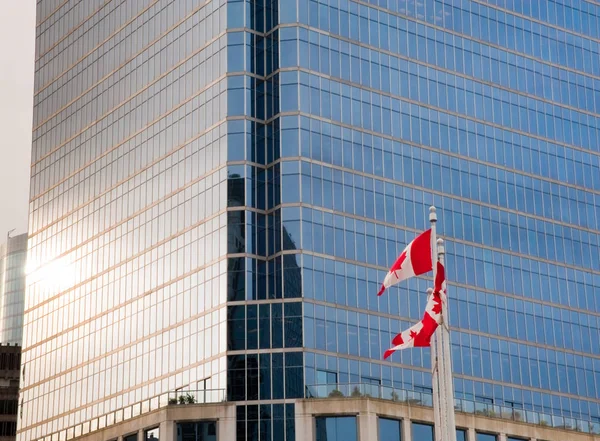高层大楼和加拿大国旗 — 图库照片