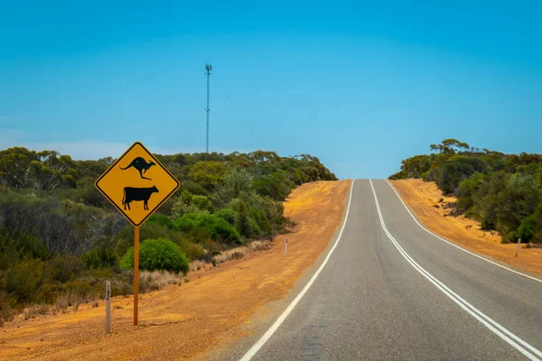 Warning kangaroos and cows sign on Australian bush road near BillaBong Roadhouse