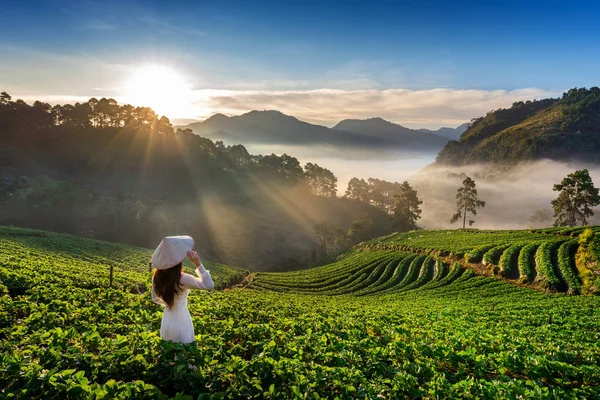 Femme Asiatique Portant Culture Vietnamienne Traditionnelle Dans Jardin Fraises Sur — Photo