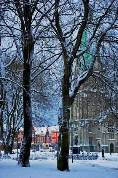 Vinterpark Staden — Stockfoto