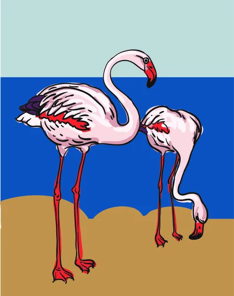 Festett Flamingó Madár Vektor Illusztráció — Stock Vector