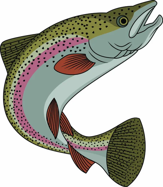 Vector Illustration Trout Fish — Stock Vector