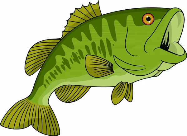 Ilustración Vectorial Bass Fish — Vector de stock