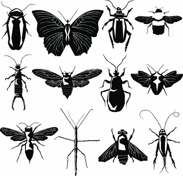 Insect Bug Collection Detailed Vector Silhouette — Stock Vector