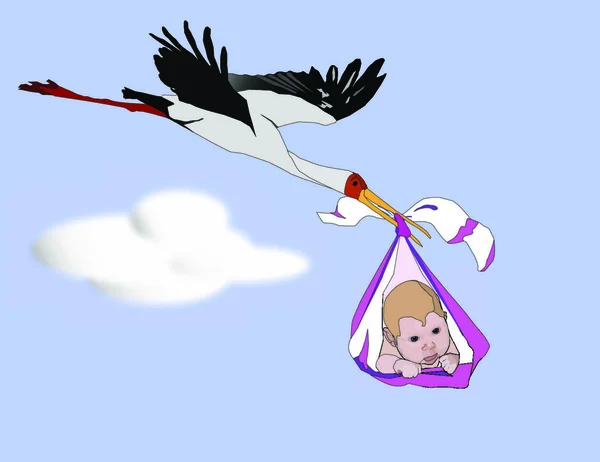 Stork Μεταφέρει Παιδί Διανυσματική Απεικόνιση — Διανυσματικό Αρχείο