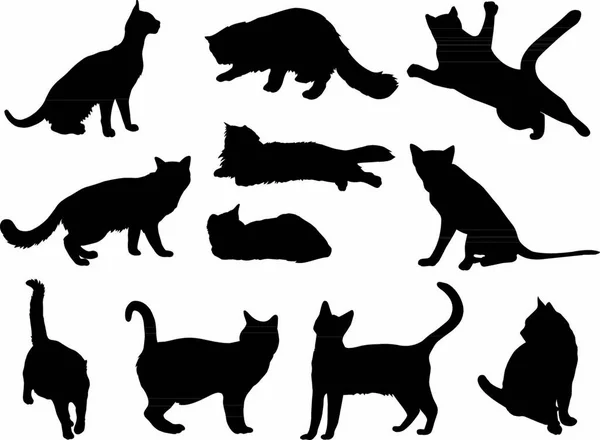 Kattensilhouet Collectie Vector Illustratie — Stockvector