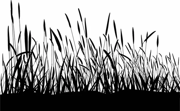 白い背景ベクトルのイラストに孤立した草の黒い刃 — ストックベクタ