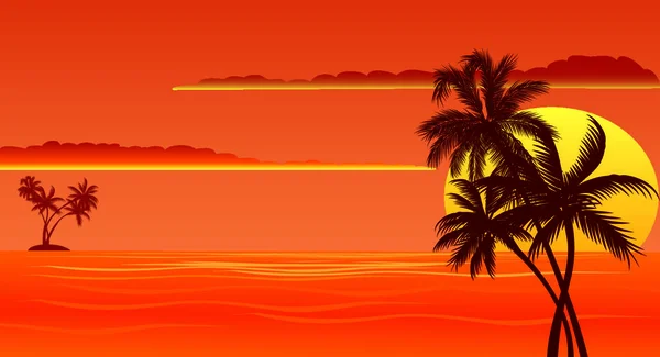 Playa Tropical Atardecer Con Palmeras — Archivo Imágenes Vectoriales