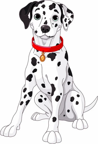 Иллюстрация Милой Далматинской Собаки Красном Воротнике — стоковый вектор