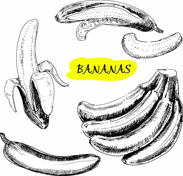 Bananen Set Handgetekende Grafische Illustraties — Stockvector