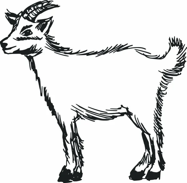 Chivo Pequenoストックベクター ロイヤリティフリーchivo Pequenoイラスト ページ 7 Depositphotos Chivo Pequenoストックベクター ロイヤリティフリーchivo Pequenoイラスト ページ 7 Depositphotos