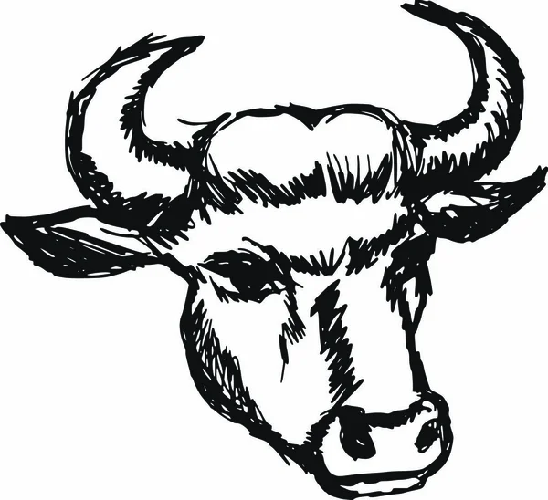 Dibujado Mano Boceto Ilustración Dibujos Animados Vaca — Vector de stock