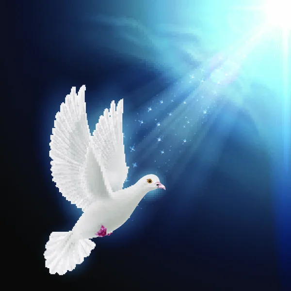 평화와 희망의 상징으로 어두운 하늘을 배경으로 햇빛을 받으며 날아가는 비둘기 — 스톡 벡터