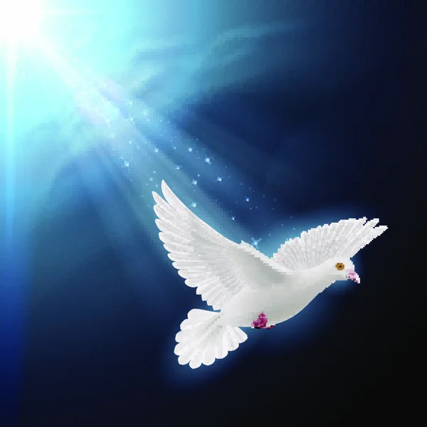 평화의 상징으로 하늘을 배경으로 햇빛을 받으며 날으는 비둘기 — 스톡 벡터