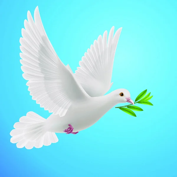 배경에 후푸른 가지와 평화의 비둘기 — 스톡 벡터