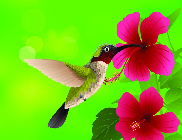 Vektorillustration Des Kolibris Mit Roter Blume — Stockvektor