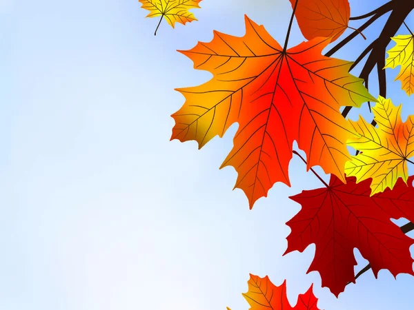 Осенние Красные Листья Поверхностный Фокус Включен Векторный Файл Eps — стоковый вектор