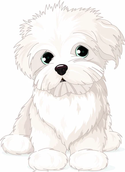 Clipart Chien Chiot Maltais — Image vectorielle