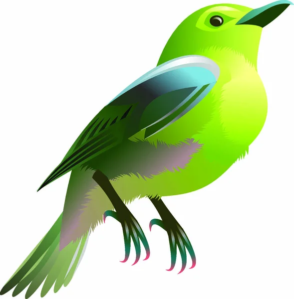 Иллюстрация Желтой Зеленой Птицы — стоковый вектор