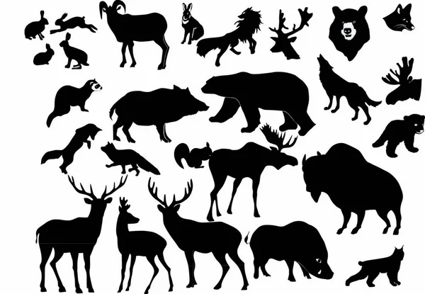 Gran Conjunto Los Diferentes Animales Del Bosque — Vector de stock