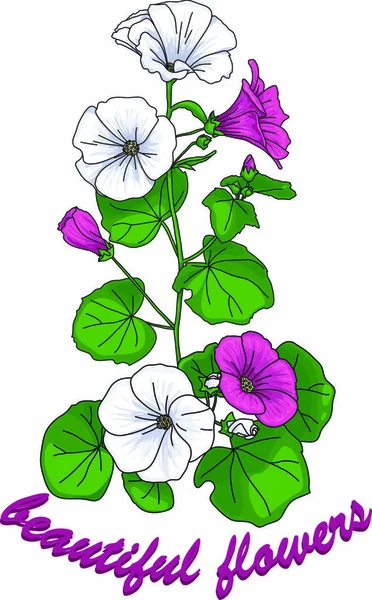 白とピンクの花と緑の葉を持つ茎 美しい花 という言葉 — ストックベクタ