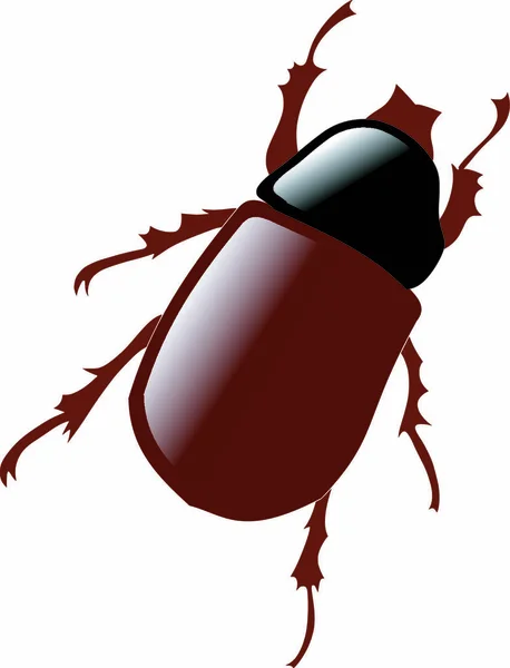 Illusztrációja Május Bug — Stock Vector