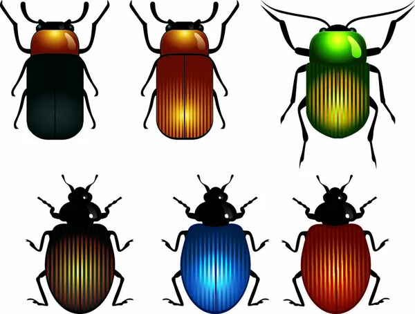 Few Bright Beetles Different Colors — Stock Vector