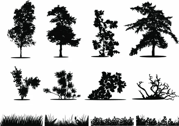 Collectie Bomen Struiken Grassilhouetten — Stockvector