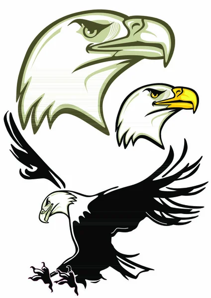 Eagle Head Eagle Illustration Vectorielle Couleur — Image vectorielle