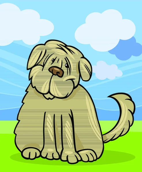 Desenhos Animados Ilustração Engraçado Puro Sangue Tibetano Terrier Dog Labrador —  Vetores de Stock