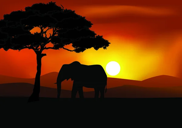 Illustration Vectorielle Fond Safari Avec Silhouette Éléphant — Image vectorielle